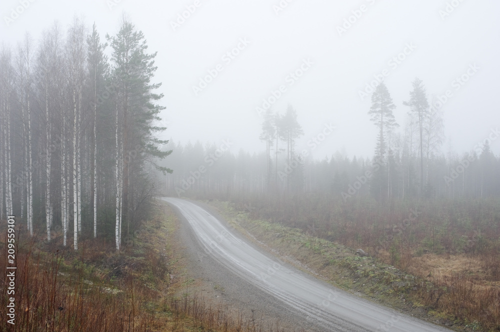 Dirt road winding through foggy and rainy autumn landscape. Dirt road winding through foggy and rainy autumn landscape.