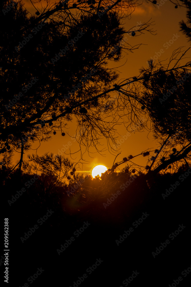 Sonnenuntergang La Joya