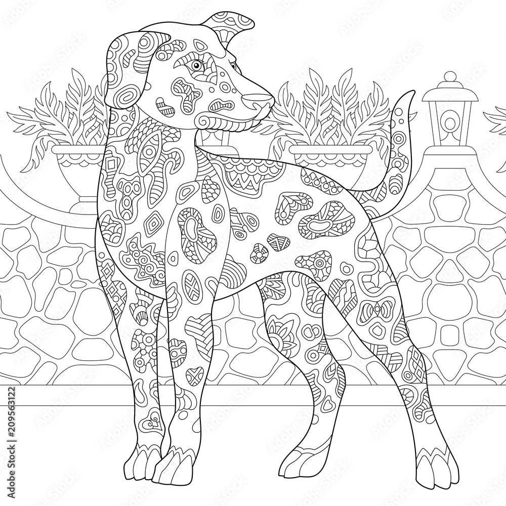 Dalmatian Dog. Coloring Page. Colouring picture. Adult Coloring ...