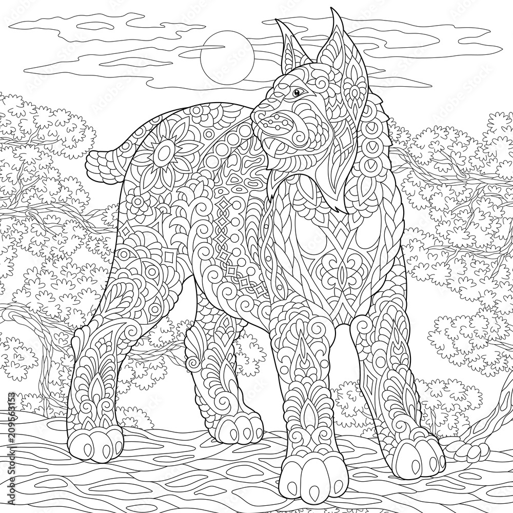 Wildcat. Lynx. Bobcat. Coloring Page. Colouring picture. Adult ...