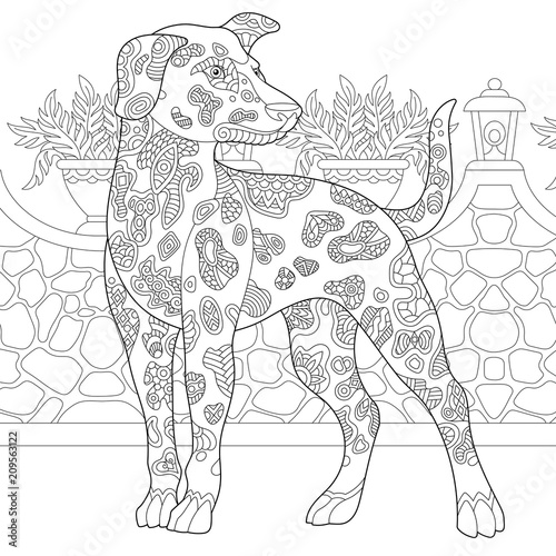 Dalmatian Dog. Coloring Page. Colouring picture. Adult Coloring Book idea. 