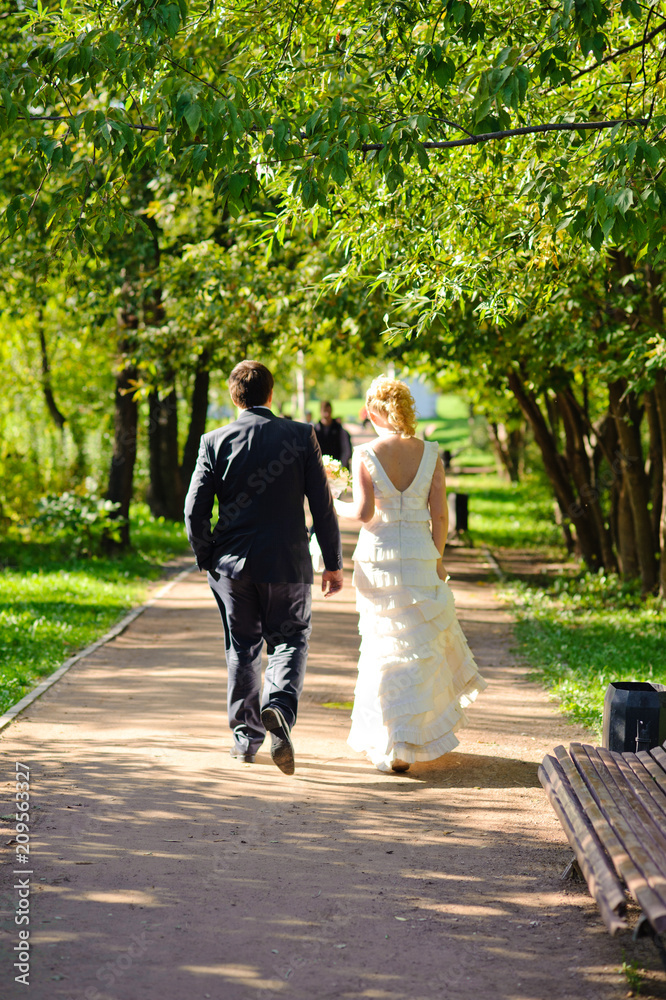 Newlyweds walk along the trees alley in the park. Wedding day in summer. Newlyweds walk along the trees alley in the park. Wedding day in summer.