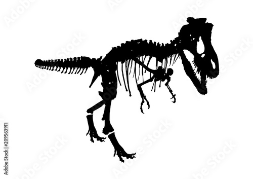 isolated dinosaur skeleton fossil, vector illustration on white background © plalek