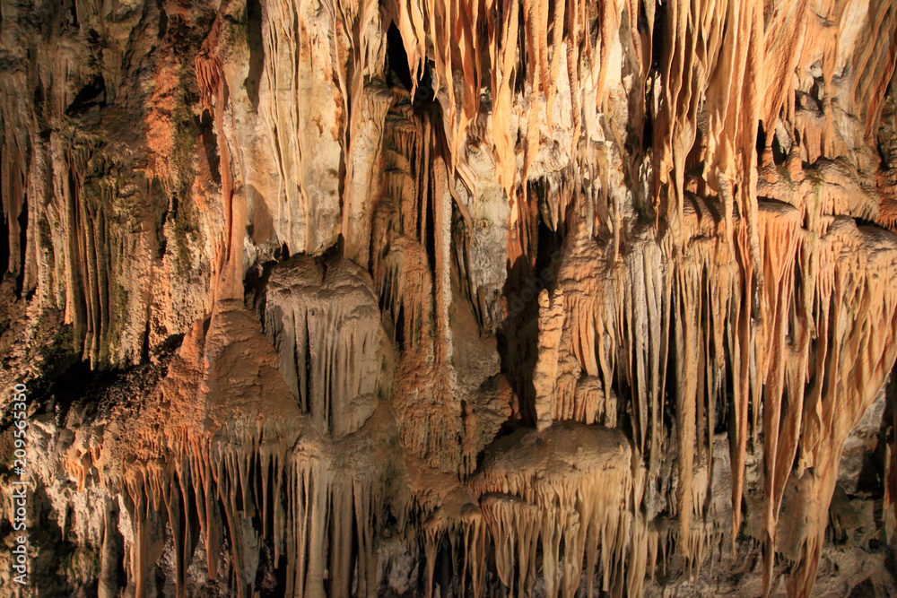 Postojna grotte in Slovenia