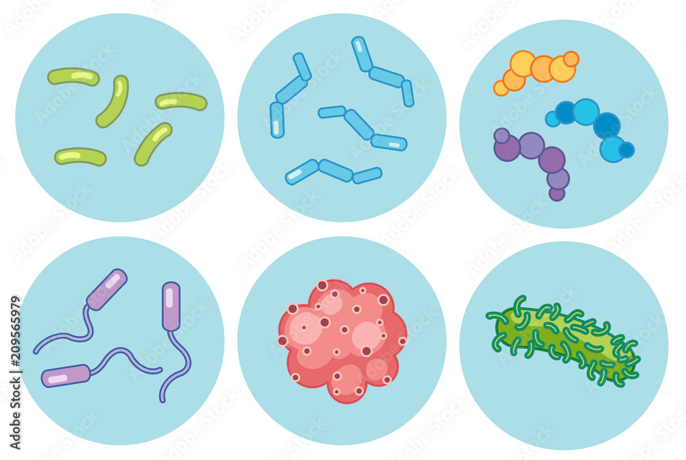 Collection of various magnified bacteria