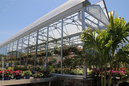 There are many plants and flowers in the green house.
