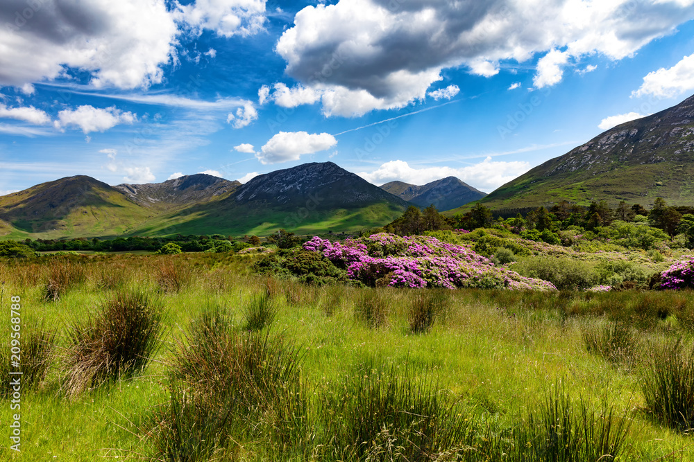 Ireland countryside with green grass and hills