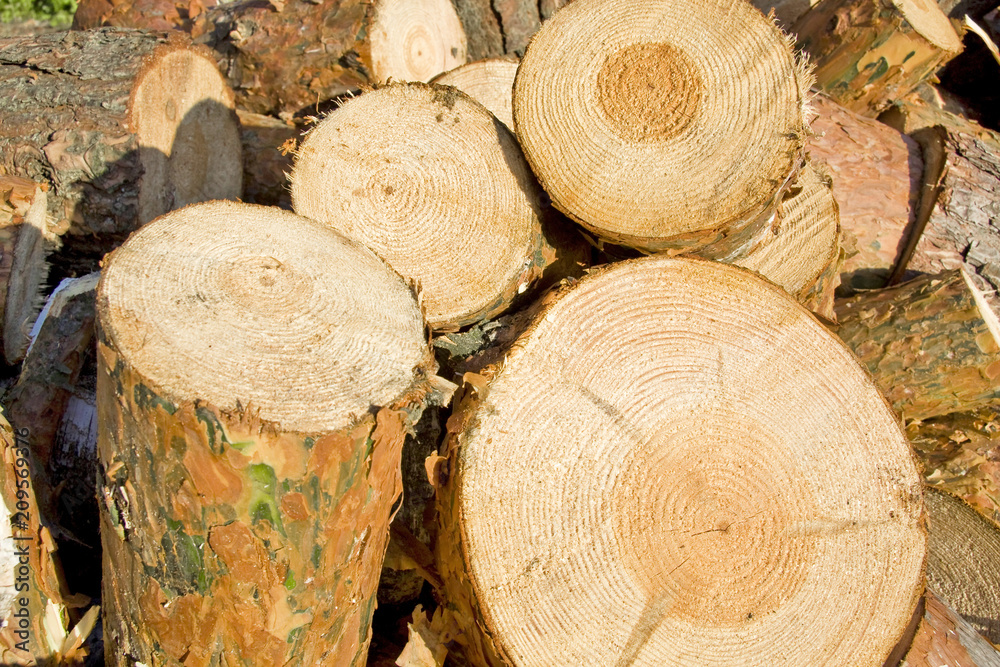 Natural wooden background. Old wood. Natural wooden background. Old wood.