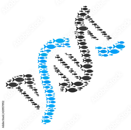 DNA spiral vector mosaic constructed with randomized fish components in different sizes. Fish icons are formed into abstract DNA spiral representaion.