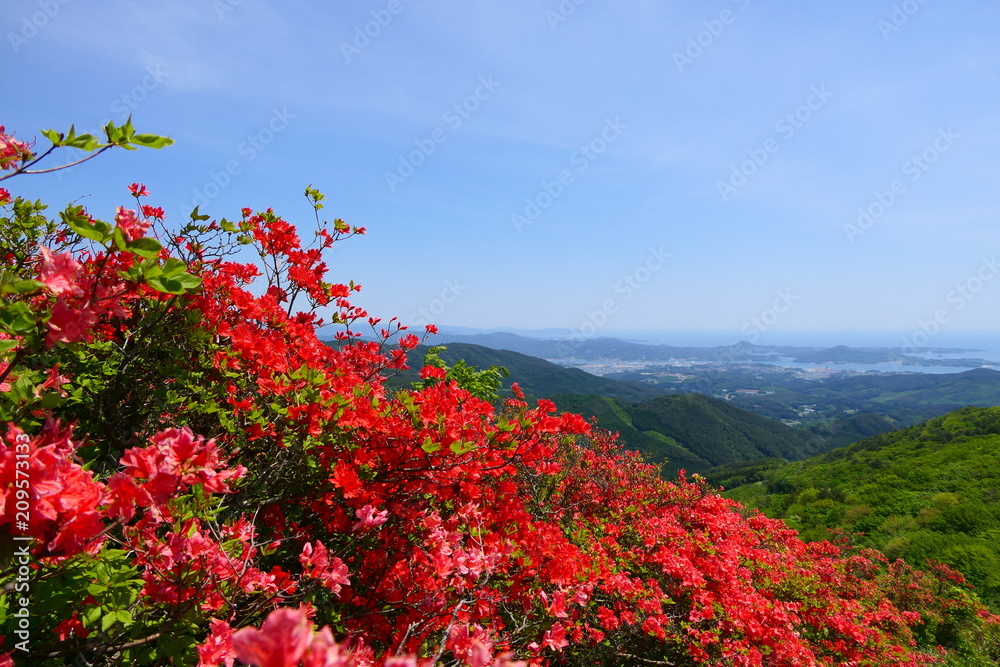 ツツジ満開の徳仙丈山から気仙沼湾を望む。気仙沼　宮城　日本。５月下旬。