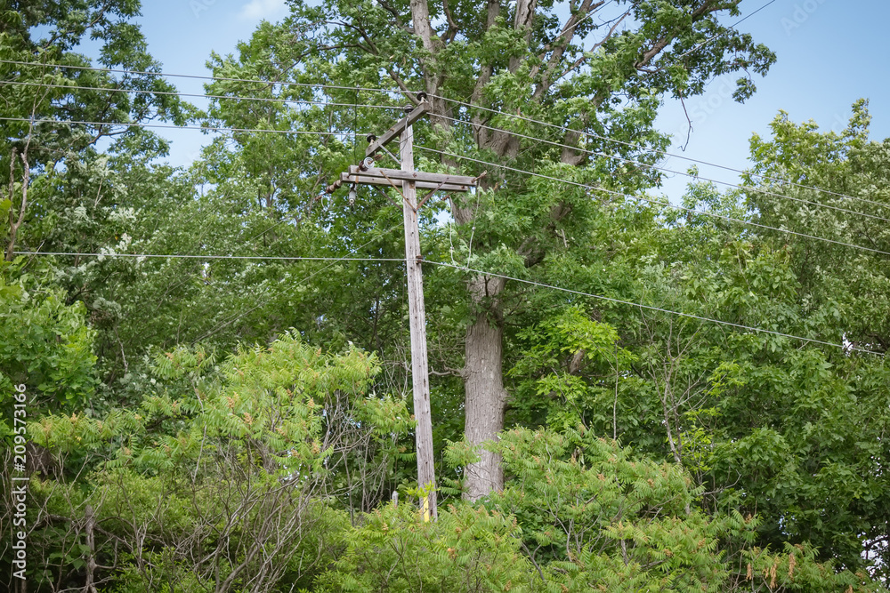 Wooden electricity pole Canadian countryside Wooden electricity pole Canadian countryside