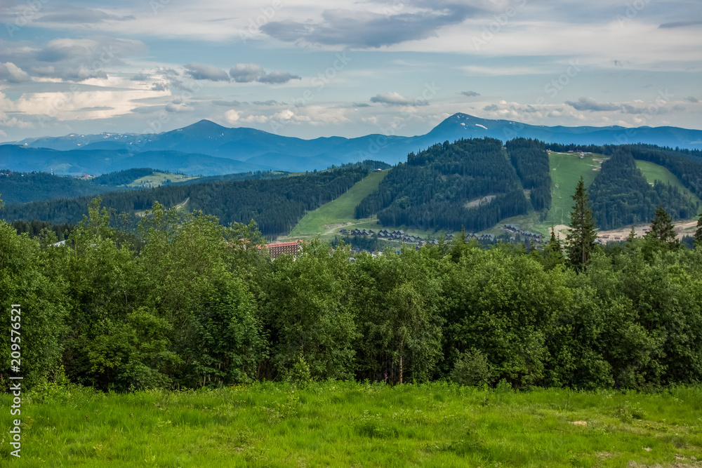 Fototapeta premium forest mountain hill nature landscape