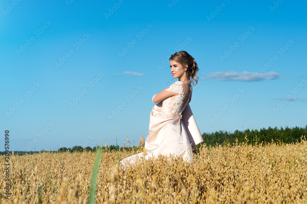 fashionable girl in beautiful beige dress in field rye fashionable girl in beautiful beige dress in field rye