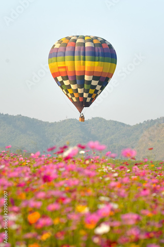 balloon and flower