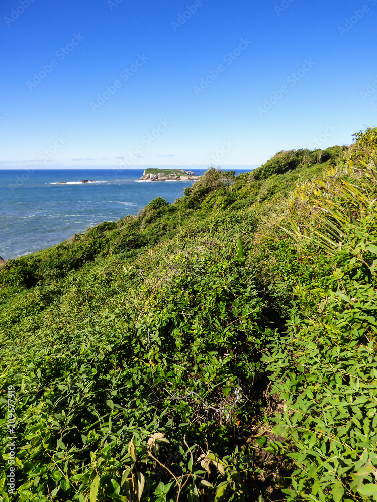 A view of the Atlantic ocean from Morro dos Ingleses (Ingleses Hill) - Florianopolis, Brazil A view of the Atlantic ocean from Morro dos Ingleses (Ingleses Hill) - Florianopolis, Brazil