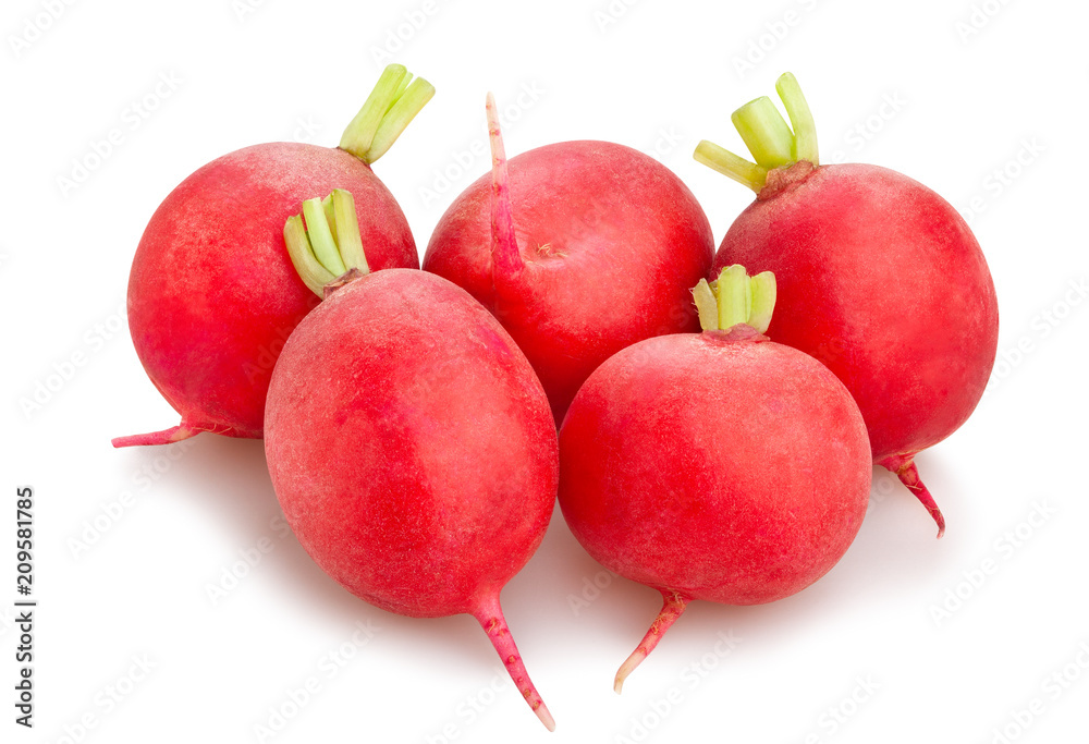 Fototapeta premium radish