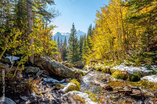 Season changing, first snow and autumn trees