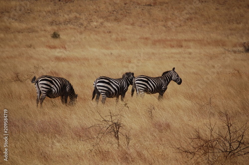 Ethiopie - Arba Minch