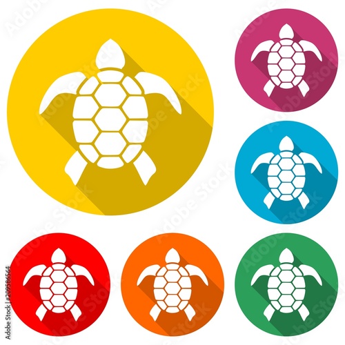 Turtle icon Flat Graphic Design, color icon with long shadow