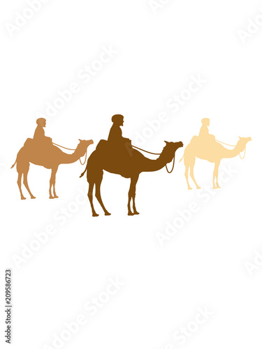 wettrennen reiten h  ndler reise karawane 3 freunde team crew handel herde reihe kamel silhouette umriss schwarz dromedar h  cker w  ste zoo