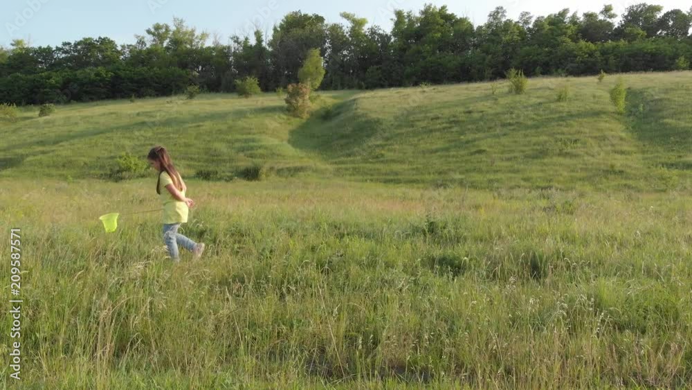 little girl is catching butterflies with a net in the grass