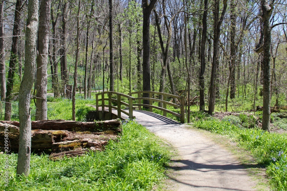 The gravel trail in the spring over the wood bridge.
