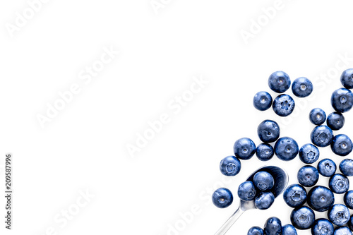 Blueberries background on white top view space for text