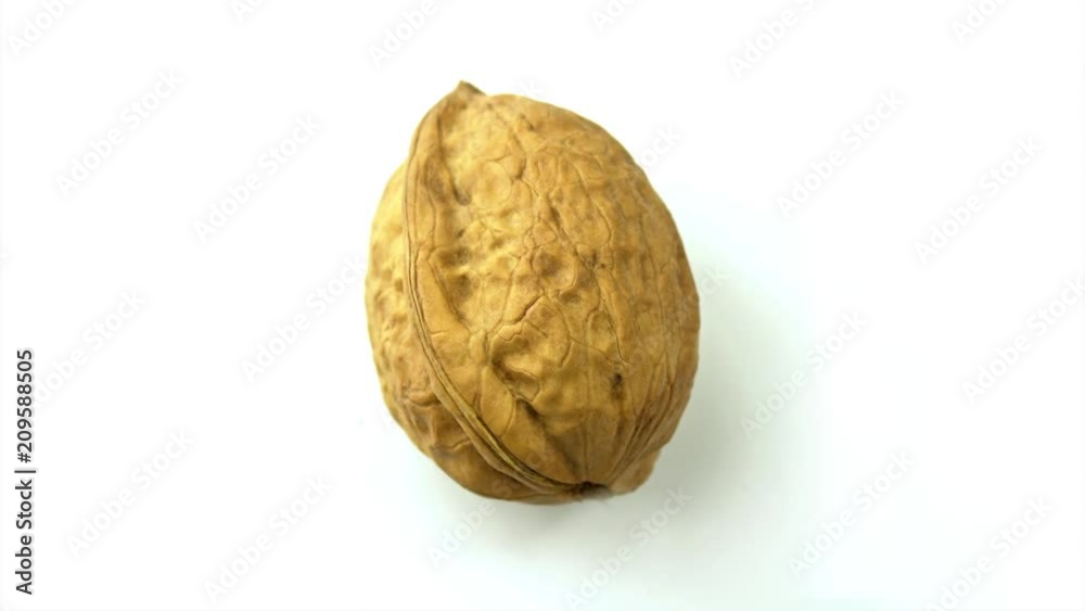 One walnut on white. Close up, rotating. Top view One walnut on white. Close up, rotating. Top view