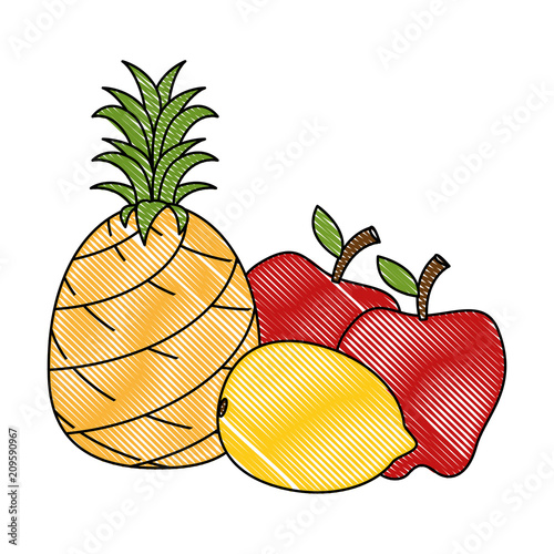 set fresh and healthy fruits vector illustration design