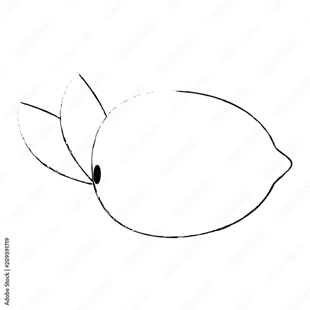 guava fresh fruit healthy vector illustration design guava fresh fruit healthy vector illustration design