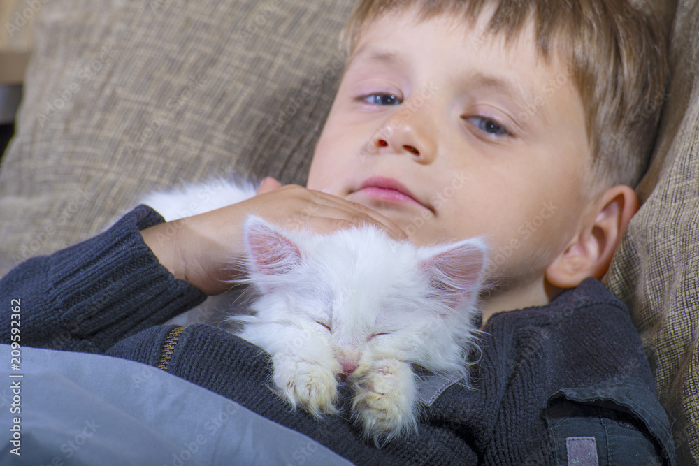 Little boy kissing a white fluffy cat on the couch Little boy kissing a white fluffy cat on the couch