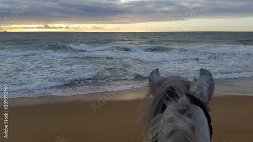 plage à cheval