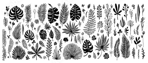 big Set of black doodle elements. exotic tropical leaves on a white background. Vector botanical illustration. Great design elements for congratulation cards, banners and others