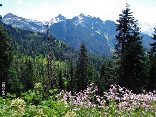 A view of Goat Mountain from Yellow Aster Butte trail © octobersun
