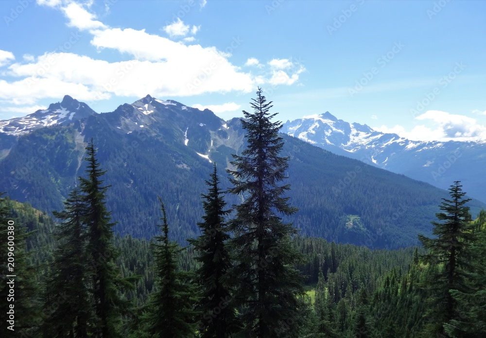 A panoramic view of the North Cascade mountains in summer