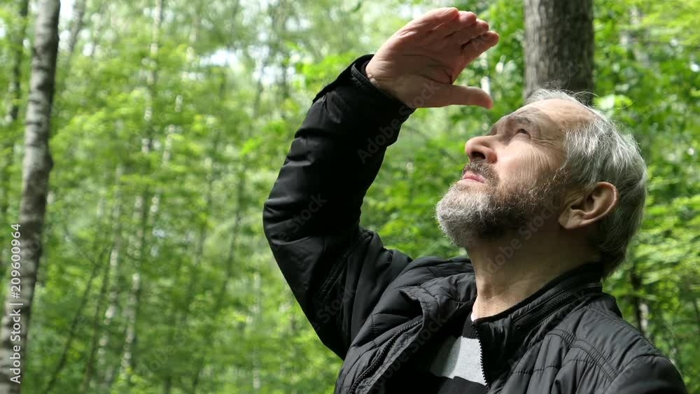 An Elderly Bearded Man Looking Up In The Forest In Sunny Day An Elderly Bearded Man Looking Up In The Forest In Sunny Day