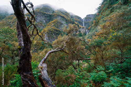 Risco Wasserfall - Wandern auf Madeira - Raba  al