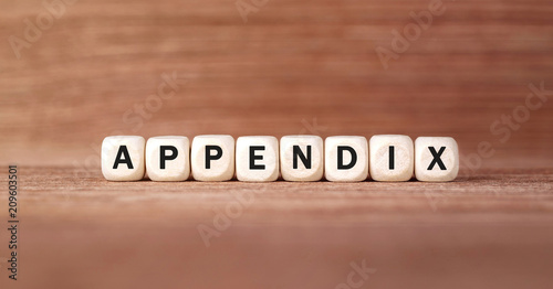Word APPENDIX made with wood building blocks photo