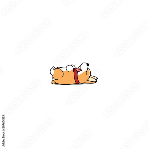 Lazy dog sleeping, cute welsh corgi puppy lying on back icon, vector illustration