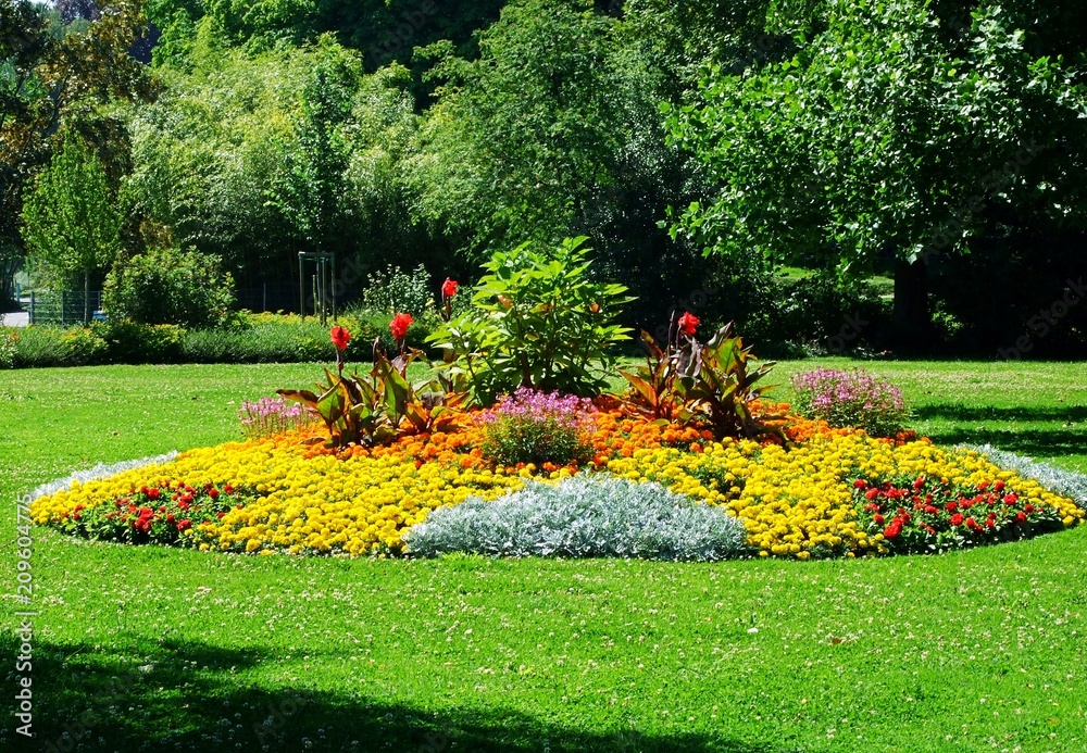 landscape pictures with flowers