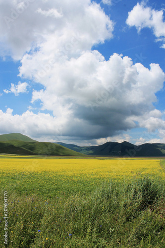 i colori di castelluccio di norcia durante la fioritura