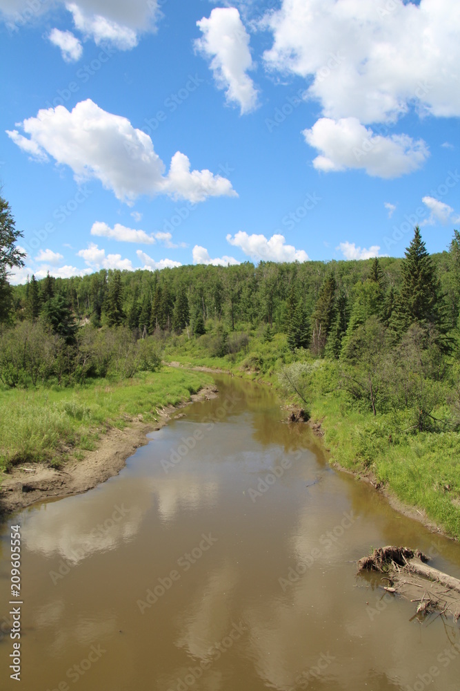 Summer On The Creek, Whitemud Park, Edmonton, Alberta Summer On The Creek, Whitemud Park, Edmonton, Alberta