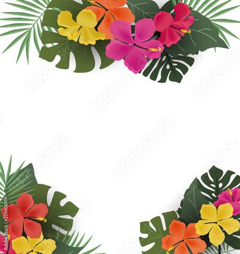Vector illustration of hibiscus flower. Background with tropical flowers and palm leaves
