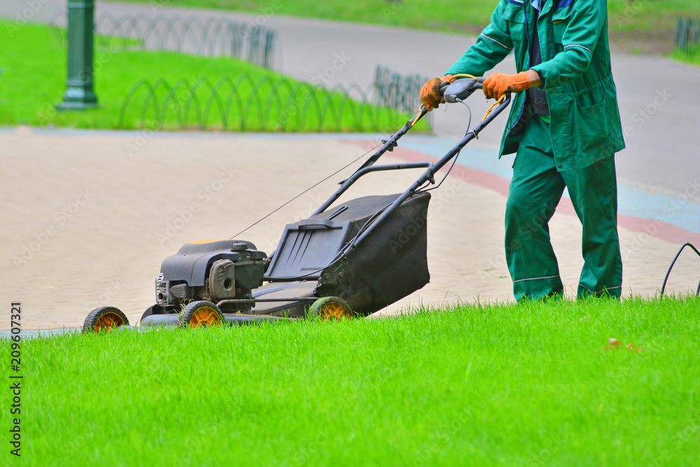 Fototapeta premium Grass moving in a park with a machine