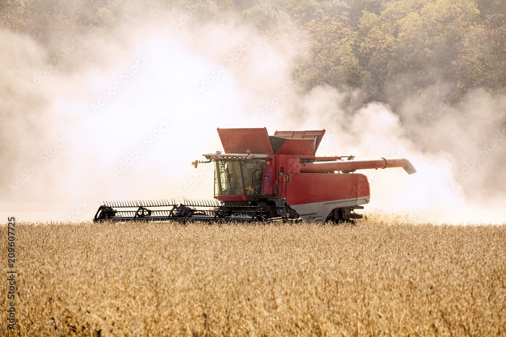 Combine harvesting corn in a farm field Combine harvesting corn in a farm field