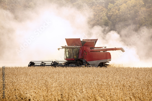 Combine harvesting corn in a farm field © G