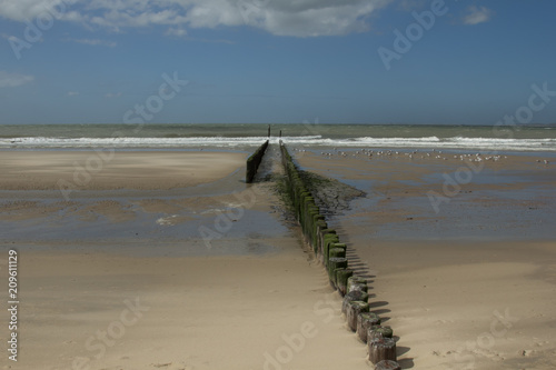 Zeeland Holland piles on the beach