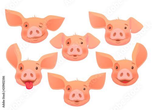 head of pink pig -set