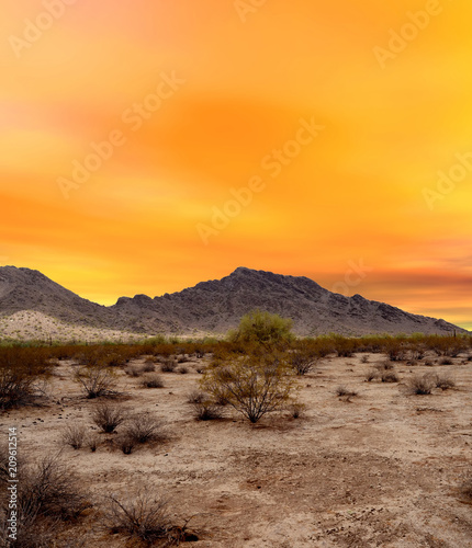 Sonora Desert Sunset Arizona
