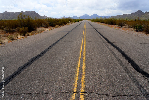 Sonora desert road with saguaro cactus
